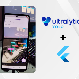 Domina YOLO en Flutter