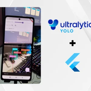 Domina YOLO en Flutter